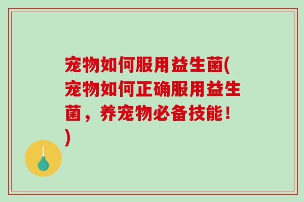 宠物如何服用益生菌(宠物如何正确服用益生菌，养宠物必备技能！)