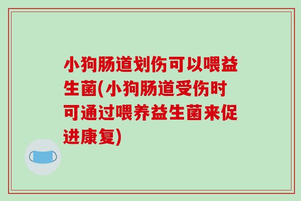 小狗肠道划伤可以喂益生菌(小狗肠道受伤时可通过喂养益生菌来促进康复)
