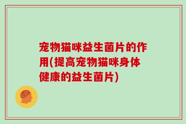 宠物猫咪益生菌片的作用(提高宠物猫咪身体健康的益生菌片)