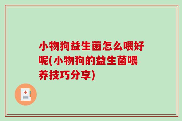 小物狗益生菌怎么喂好呢(小物狗的益生菌喂养技巧分享)