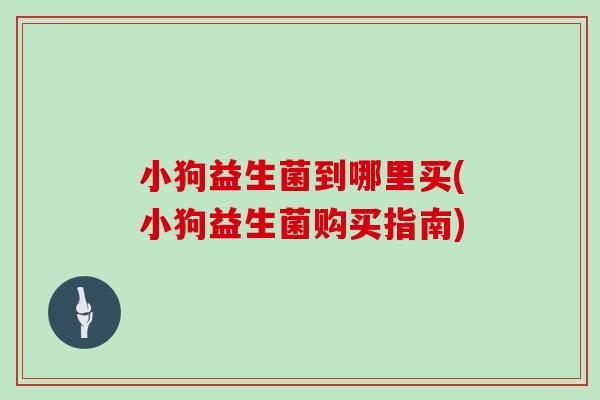 小狗益生菌到哪里买(小狗益生菌购买指南)