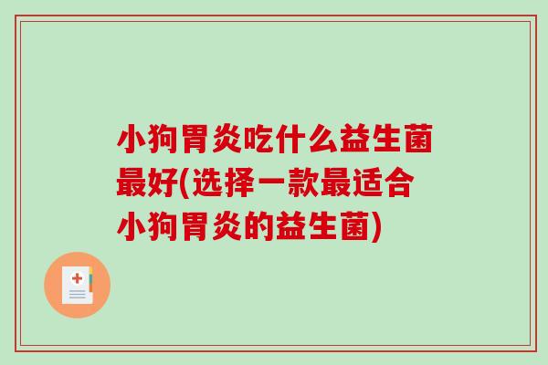 小狗胃炎吃什么益生菌最好(选择一款最适合小狗胃炎的益生菌)