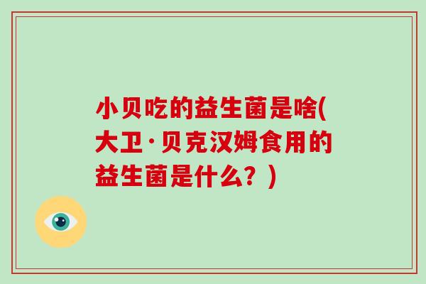 小贝吃的益生菌是啥(大卫·贝克汉姆食用的益生菌是什么？)