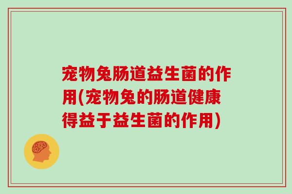 宠物兔肠道益生菌的作用(宠物兔的肠道健康得益于益生菌的作用)