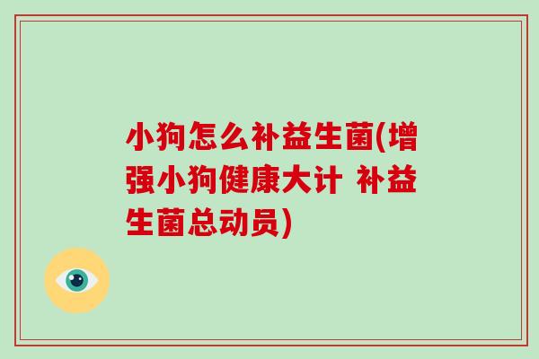 小狗怎么补益生菌(增强小狗健康大计 补益生菌总动员)