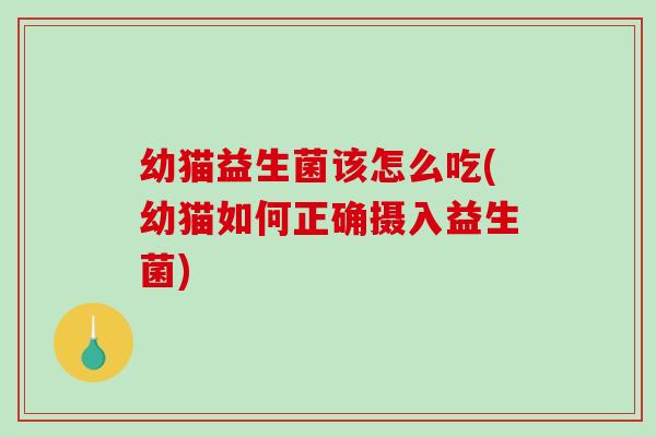 幼猫益生菌该怎么吃(幼猫如何正确摄入益生菌)