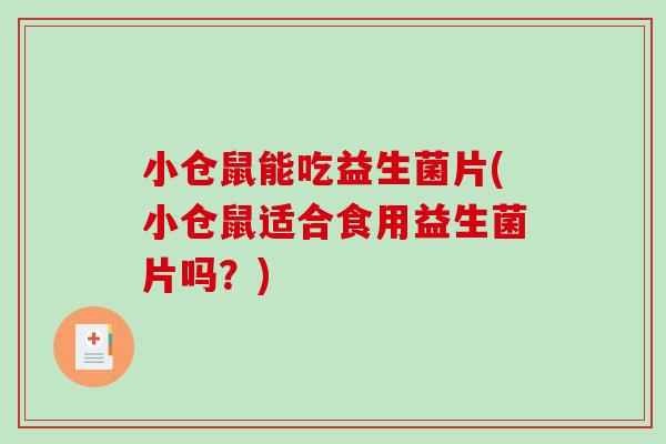 小仓鼠能吃益生菌片(小仓鼠适合食用益生菌片吗？)