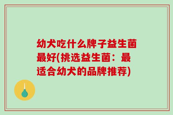 幼犬吃什么牌子益生菌好(挑选益生菌:适合幼犬的品牌推荐) 幼犬吃什么牌子益生菌好(挑选益生菌:适合幼犬的品牌推荐)