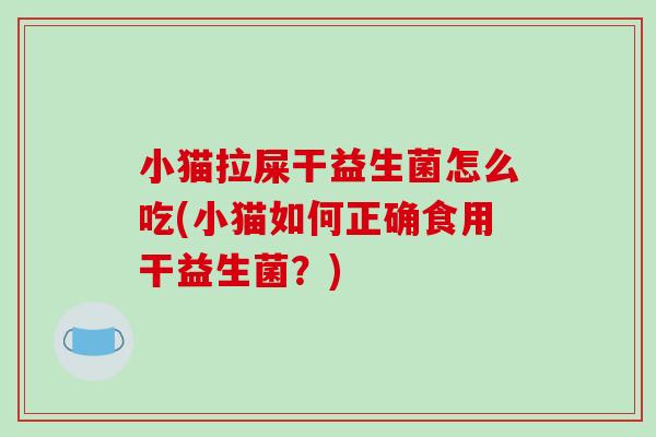 小猫拉屎干益生菌怎么吃(小猫如何正确食用干益生菌？)