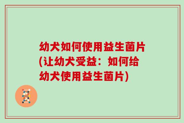 幼犬如何使用益生菌片(让幼犬受益：如何给幼犬使用益生菌片)