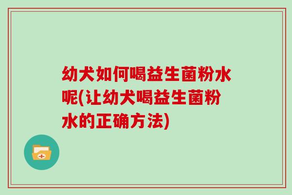 幼犬如何喝益生菌粉水呢(让幼犬喝益生菌粉水的正确方法)