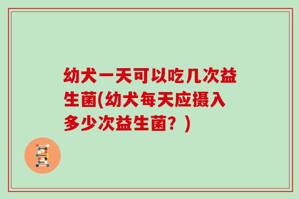 幼犬一天可以吃几次益生菌(幼犬每天应摄入多少次益生菌？)