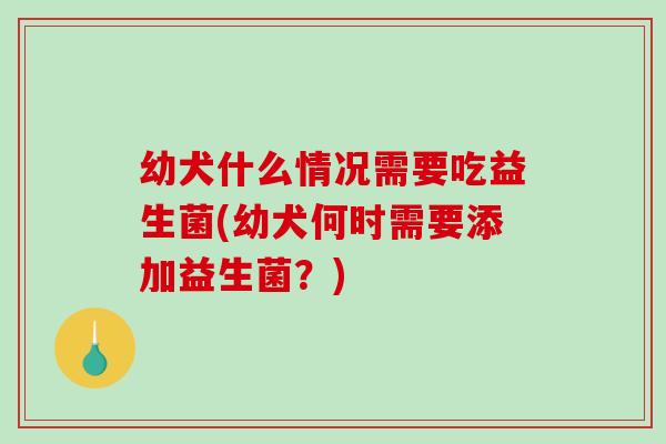 幼犬什么情况需要吃益生菌(幼犬何时需要添加益生菌？)
