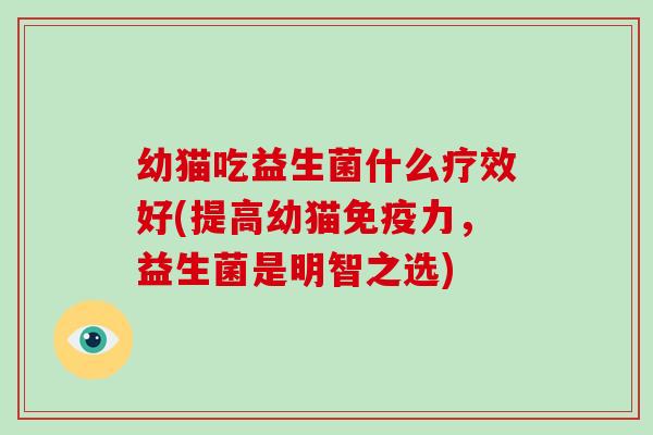 幼猫吃益生菌什么疗效好(提高幼猫免疫力，益生菌是明智之选)