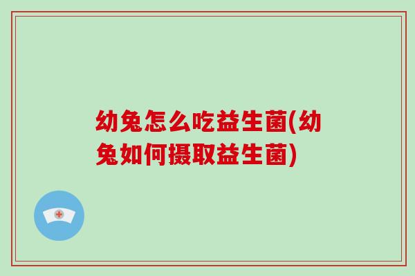 幼兔怎么吃益生菌(幼兔如何摄取益生菌)