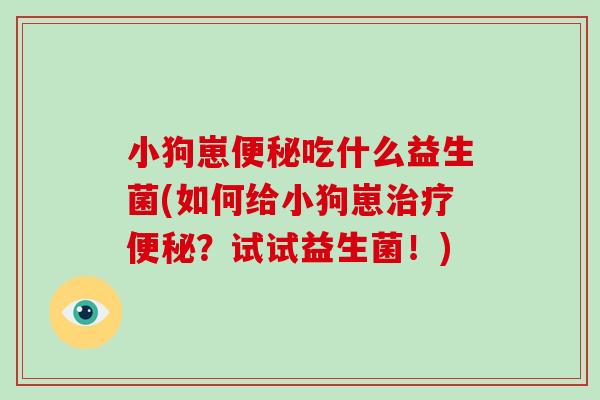 小狗崽吃什么益生菌(如何给小狗崽?试试益生菌!) 小狗崽吃什么益生菌(如何给小狗崽?试试益生菌!)