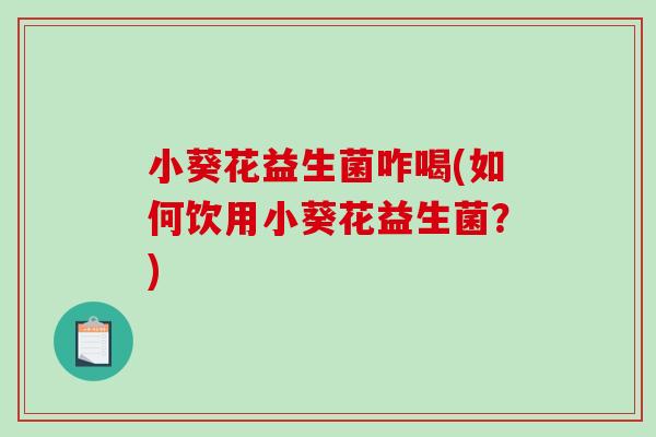 小葵花益生菌咋喝(如何饮用小葵花益生菌?) 小葵花益生菌咋喝(如何饮用小葵花益生菌?)