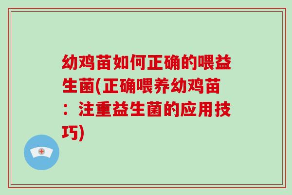 幼鸡苗如何正确的喂益生菌(正确喂养幼鸡苗：注重益生菌的应用技巧)