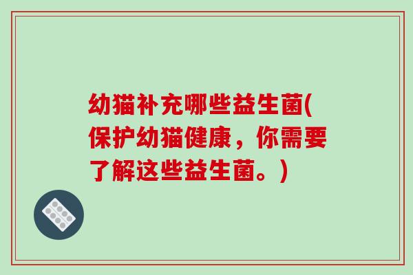 幼猫补充哪些益生菌(保护幼猫健康，你需要了解这些益生菌。)