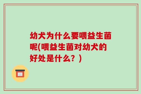 幼犬为什么要喂益生菌呢(喂益生菌对幼犬的好处是什么?) 幼犬为什么要喂益生菌呢(喂益生菌对幼犬的好处是什么?)