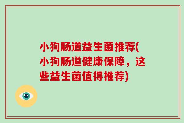 小狗肠道益生菌推荐(小狗肠道健康保障，这些益生菌值得推荐)