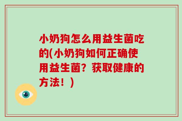 小奶狗怎么用益生菌吃的(小奶狗如何正确使用益生菌？获取健康的方法！)