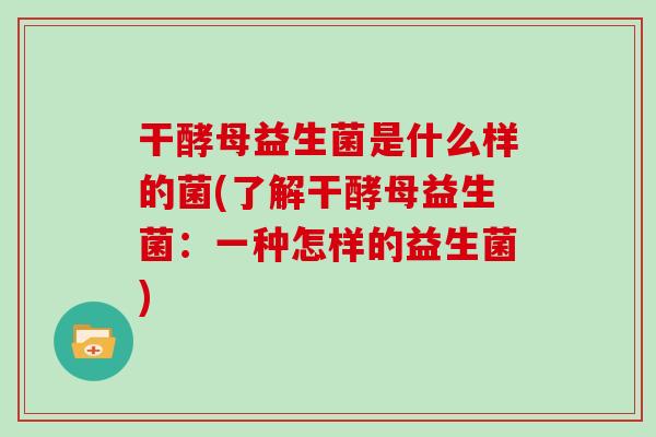 干酵母益生菌是什么样的菌(了解干酵母益生菌：一种怎样的益生菌)