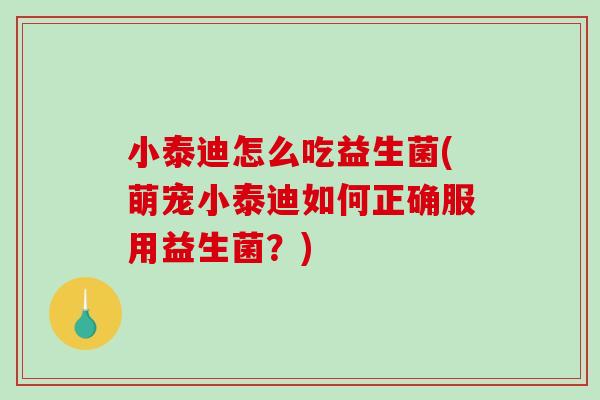 小泰迪怎么吃益生菌(萌宠小泰迪如何正确服用益生菌？)