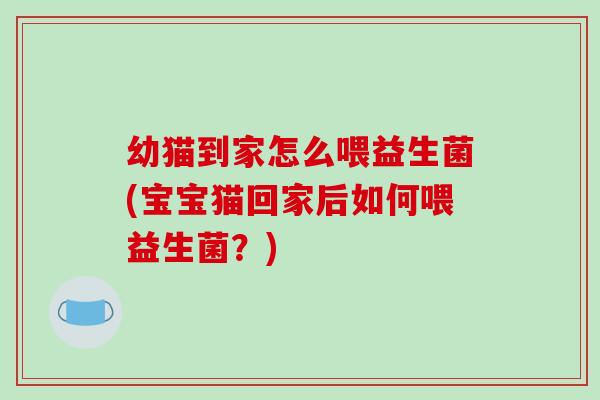 幼猫到家怎么喂益生菌(宝宝猫回家后如何喂益生菌？)