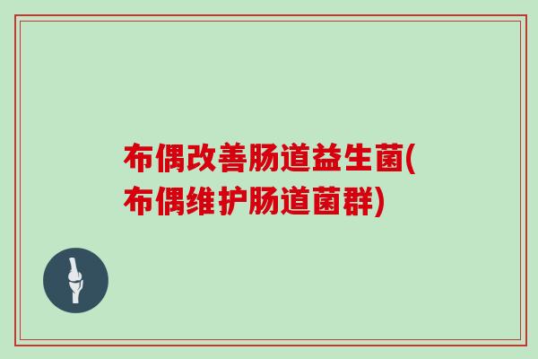 布偶改善肠道益生菌(布偶维护肠道菌群)