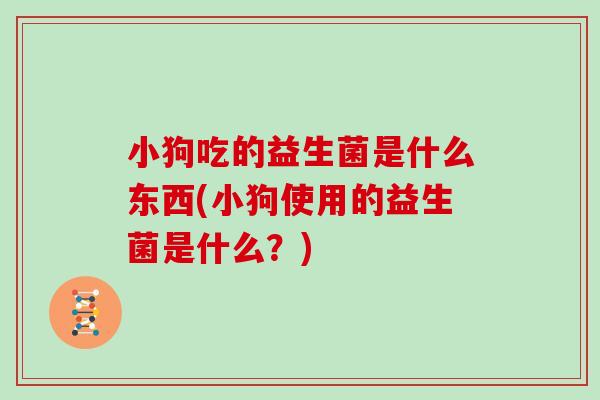 小狗吃的益生菌是什么东西(小狗使用的益生菌是什么？)