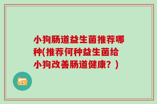 小狗肠道益生菌推荐哪种(推荐何种益生菌给小狗改善肠道健康？)