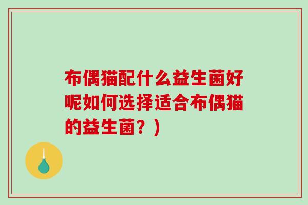 布偶猫配什么益生菌好呢如何选择适合布偶猫的益生菌？)