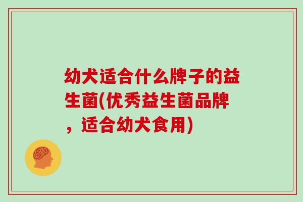 幼犬适合什么牌子的益生菌(优秀益生菌品牌，适合幼犬食用)