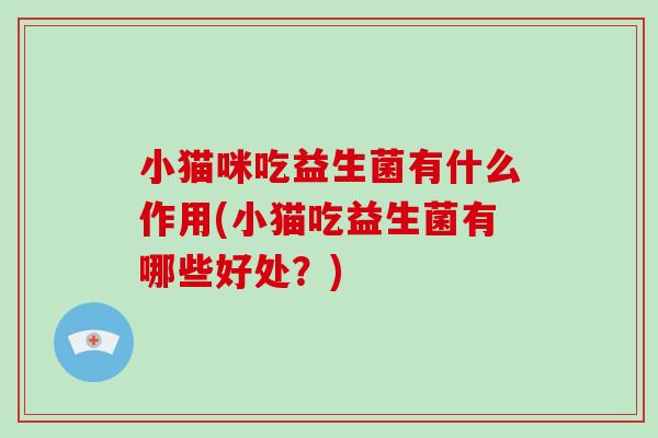 小猫咪吃益生菌有什么作用(小猫吃益生菌有哪些好处？)