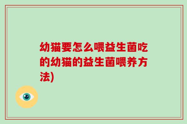 幼猫要怎么喂益生菌吃的幼猫的益生菌喂养方法)