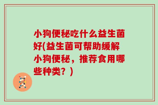 小狗便秘吃什么益生菌好(益生菌可帮助缓解小狗便秘，推荐食用哪些种类？)