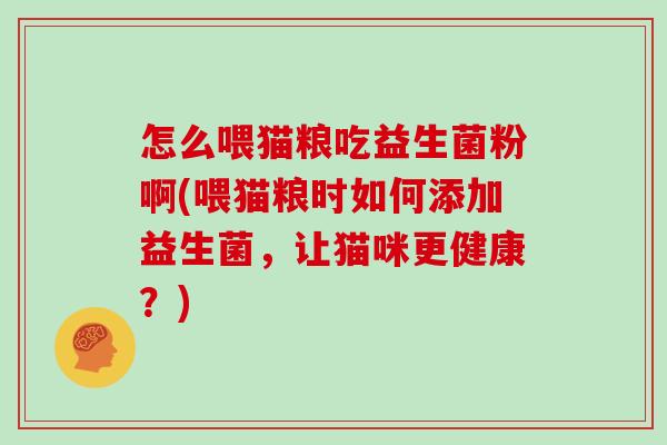怎么喂猫粮吃益生菌粉啊(喂猫粮时如何添加益生菌，让猫咪更健康？)