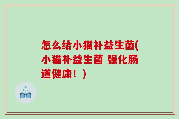 怎么给小猫补益生菌(小猫补益生菌 强化肠道健康！)