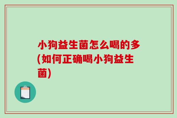 小狗益生菌怎么喝的多(如何正确喝小狗益生菌)