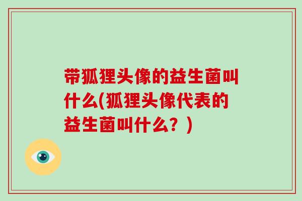 带狐狸头像的益生菌叫什么(狐狸头像代表的益生菌叫什么？)