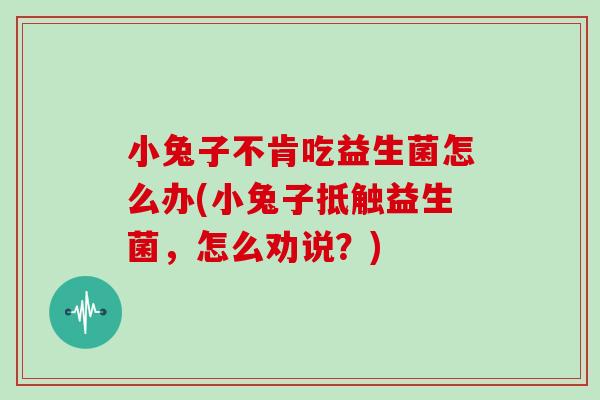 小兔子不肯吃益生菌怎么办(小兔子抵触益生菌，怎么劝说？)
