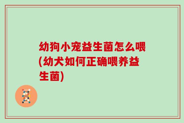 幼狗小宠益生菌怎么喂(幼犬如何正确喂养益生菌)