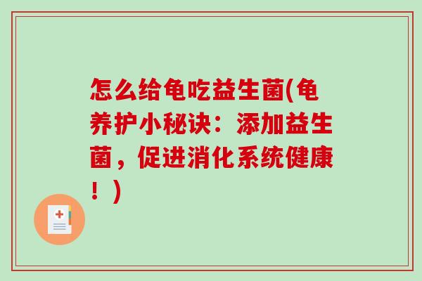 怎么给龟吃益生菌(龟养护小秘诀：添加益生菌，促进消化系统健康！)
