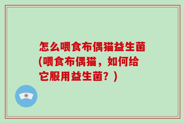 怎么喂食布偶猫益生菌(喂食布偶猫，如何给它服用益生菌？)