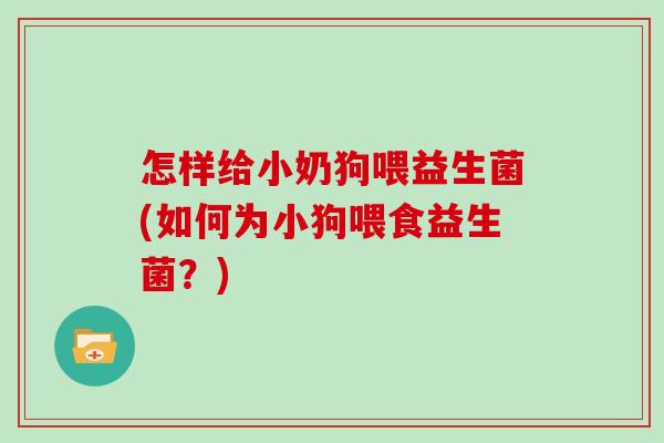 怎样给小奶狗喂益生菌(如何为小狗喂食益生菌？)