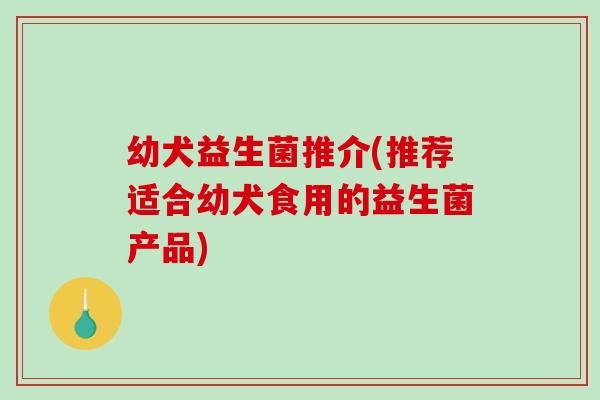 幼犬益生菌推介(推荐适合幼犬食用的益生菌产品)