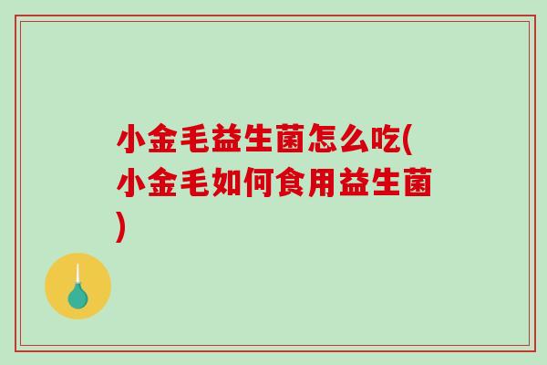 小金毛益生菌怎么吃(小金毛如何食用益生菌)