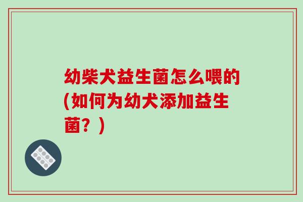 幼柴犬益生菌怎么喂的(如何为幼犬添加益生菌？)