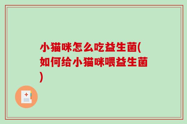 小猫咪怎么吃益生菌(如何给小猫咪喂益生菌)